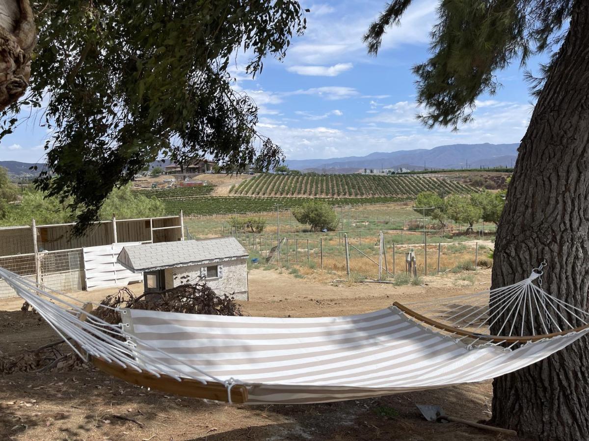Rejuvenation Holiday home