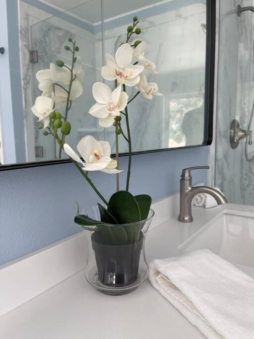 Holiday home Rejuvenation