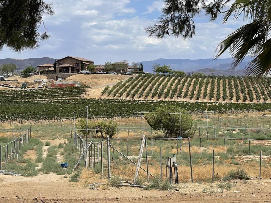 Rejuvenation Temecula